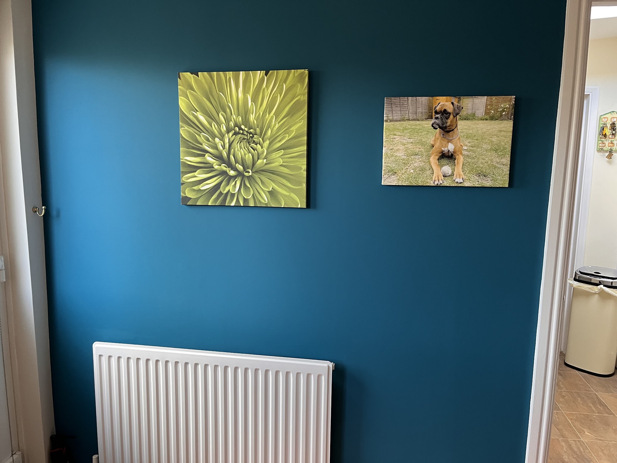 Deep teal painted feature wall