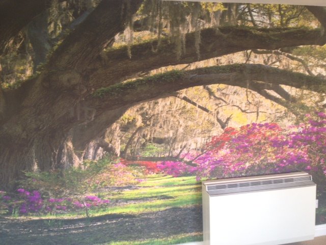 Woodland avenue photo mural above a radiator